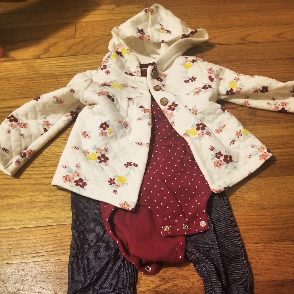 Carters 3 Piece Toddler Girls Outfit 18m